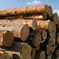 U.S. Timber Price Forecasts: Framing the Outlook for 2013