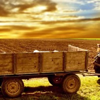 7 Serious Questions to Ask When Buying Farmland