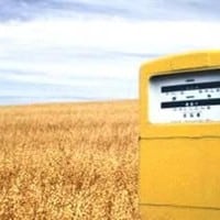 US Wood Biofuel Production: Implications for Timberland Investors