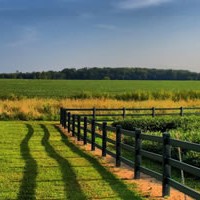 Are you Bored? Buy Rural Land.