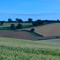 Summary of FDIC Webinar: Don't Bet the Farm - Assessing the Boom in Farmland Prices