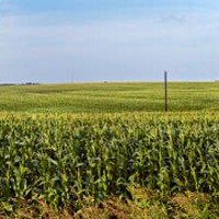 2 Tax Deferral Strategies to Capitalize on Farmland Trends