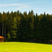Forest Finance Toolkit: Back-of-the-Envelope Valuation Techniques