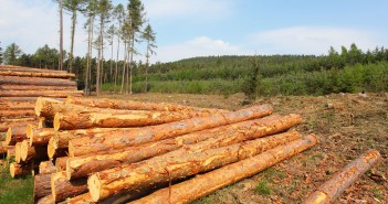 Forest Industry Capital Investment Implications for U.S. Timberland Investors Forest Industry Capital Investment Implications for U.S. Timberland Investors
