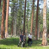forest_conservation-200x200.jpg forest_conservation-200x200.jpg