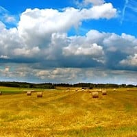 The Great Land Bubble