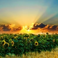 Is Buying and Owning Land Still a Safe Investment?