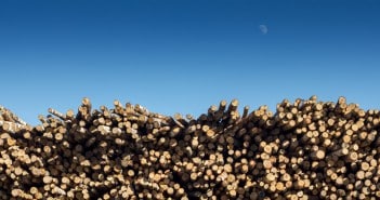 Keeping Score: Timberland Investment Performance and Timber REIT Taxes Keeping Score: Timberland Investment Performance and Timber REIT Taxes