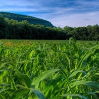 Land Values For 2013 - It's Not Just About Corn