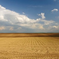 Looking Below the Surface of Farmland Values
