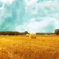 Making the Financial Argument for Farmland Investing