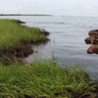 What might landowners learn from the Gulf oil spill?