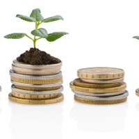 An Ounce of Gold or an Acre of Land?