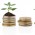 An Ounce of Gold or an Acre of Land?