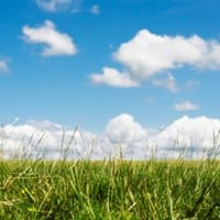 Buying land as an investment? Avoid the “paralysis of analysis”