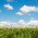 Buying land as an investment? Avoid the “paralysis of analysis”