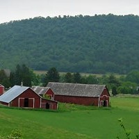 The “P” Factor in Rural Land
