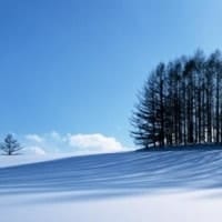 Rural Property Prime Time