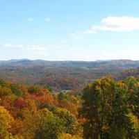 Do rural brains really drain?