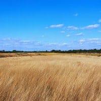 Selling Farmland Tax Consequences