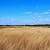 Selling Farmland Tax Consequences