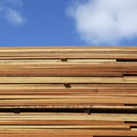 Impacts Overstated for Timberland Owners from Changes to Southern Yellow Pine “Design Values”