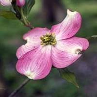 Spring is Here and Land Buyers are Laser-Focused on Investment