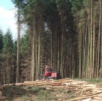 Stumpage Prices, Timber REITs and Timberland Ownership: 2012-2014 Outlook
