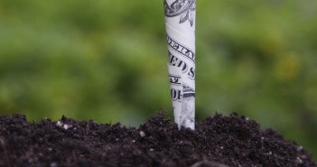 Timberland Investments and the Value of Dirt Timberland Investments and the Value of Dirt