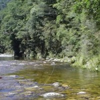 Trout fishing in America is really about trout fishing