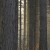 U.S. Timber Forecasts: Assessing Forest Supplies and Price Impacts