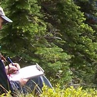 What Does a Consulting Forester Do?