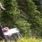 What Does a Consulting Forester Do?