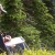What Does a Consulting Forester Do?