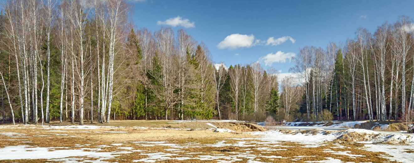 2022 Outlook for Recreational Land Sales is Bright