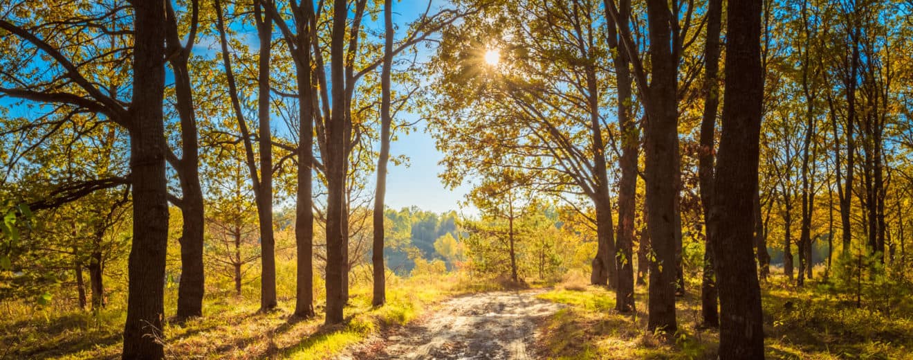 5 Key Questions for New Recreational Land Buyers to Ask