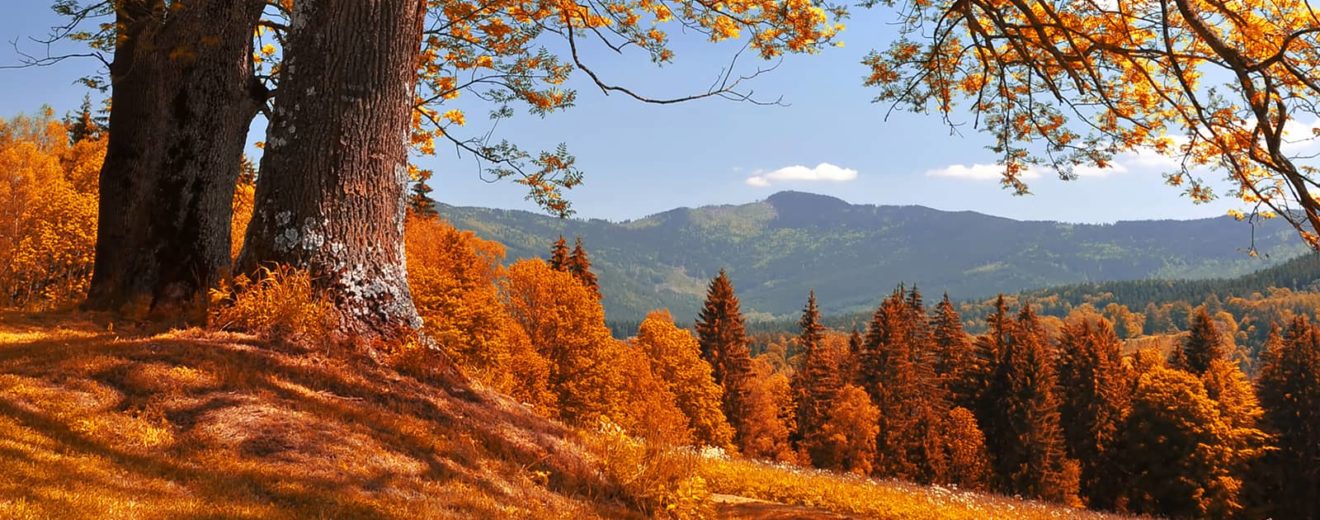 A Peek Into Fall: 6 Standout Trends in Recreational Land