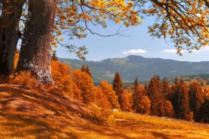 A Peek Into Fall: 6 Standout Trends in Recreational Land