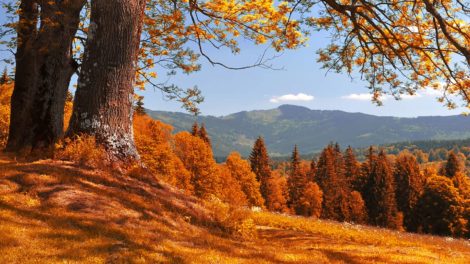 A Peek Into Fall: 6 Standout Trends in Recreational Land