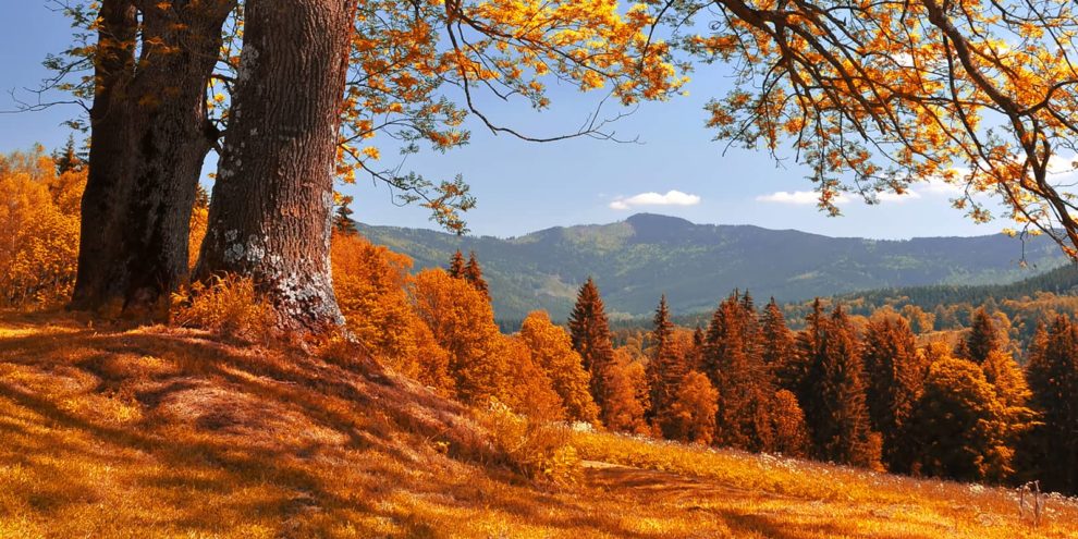 A Peek Into Fall: 6 Standout Trends in Recreational Land