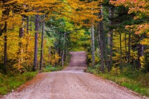 What Absentee Landowners Lose Every Season They Skip Vegetation Management