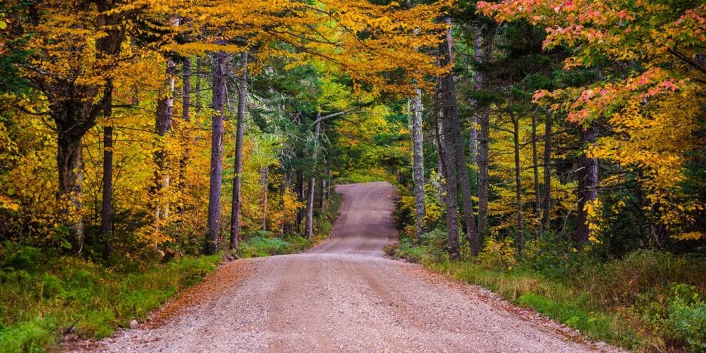 What Absentee Landowners Lose Every Season They Skip Vegetation Management