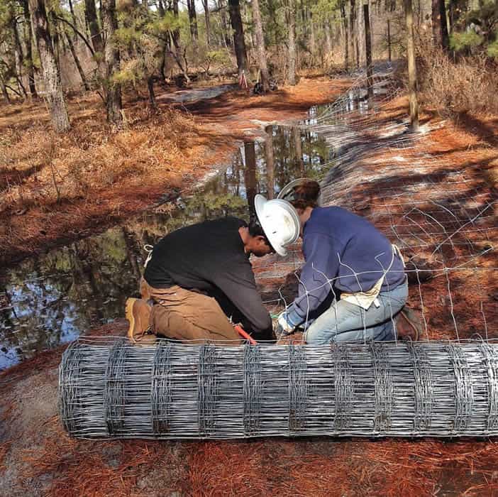  American Conservation Experience (ACE) members Thadeus Miriello (L) and Brhianna Malcolm, work on the Mullica River Mitigation Project.