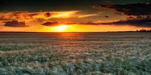 Ag Investment Trends On The Minds Of Investors In 2025