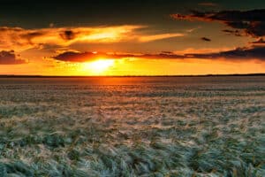 Ag Investment Trends On The Minds Of Investors In 2025