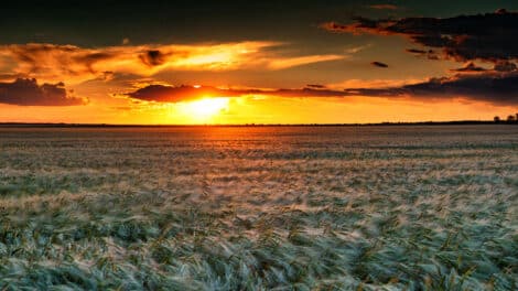Ag Investment Trends On The Minds Of Investors In 2025