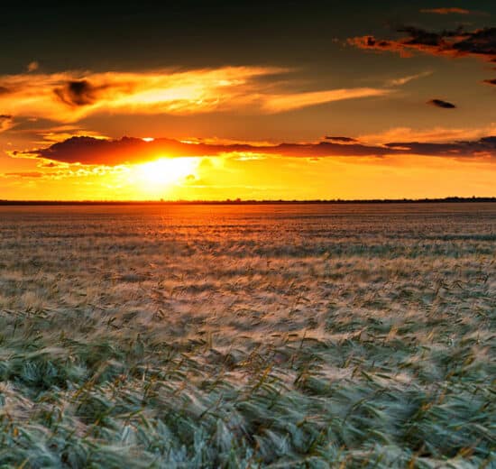 Ag Investment Trends On The Minds Of Investors In 2025