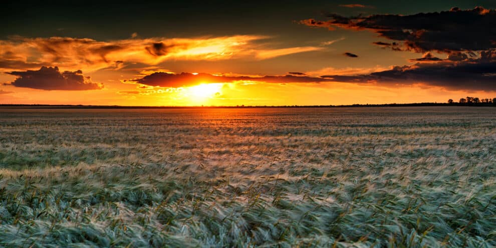 Ag Investment Trends On The Minds Of Investors In 2025