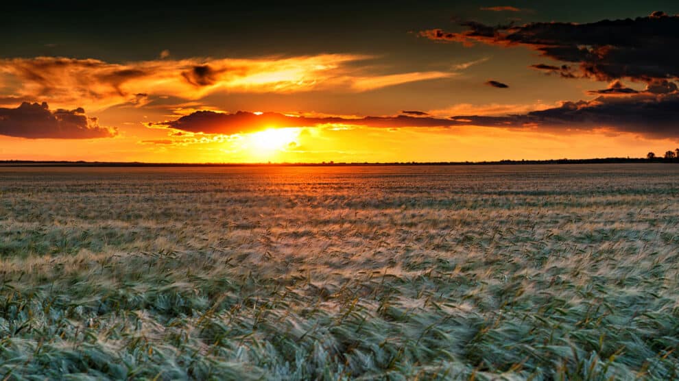 Ag Investment Trends On The Minds Of Investors In 2025