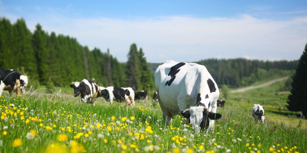 Agricultural Robotics is Revolutionizing Farming